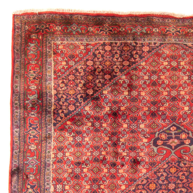 Ardabil Tapete 290x203cm - Tapete persa