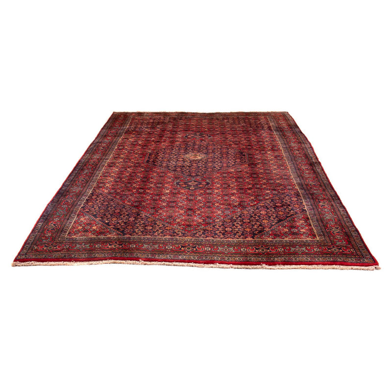 Ardabil Tapete 290x203cm - Tapete persa