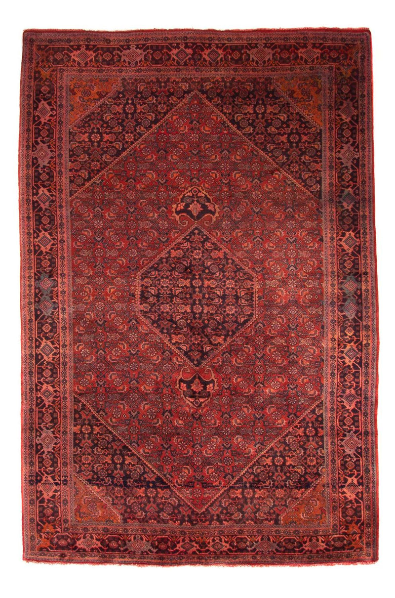 Bidjar - Takab Tapete 327x220cm - Tapete persa