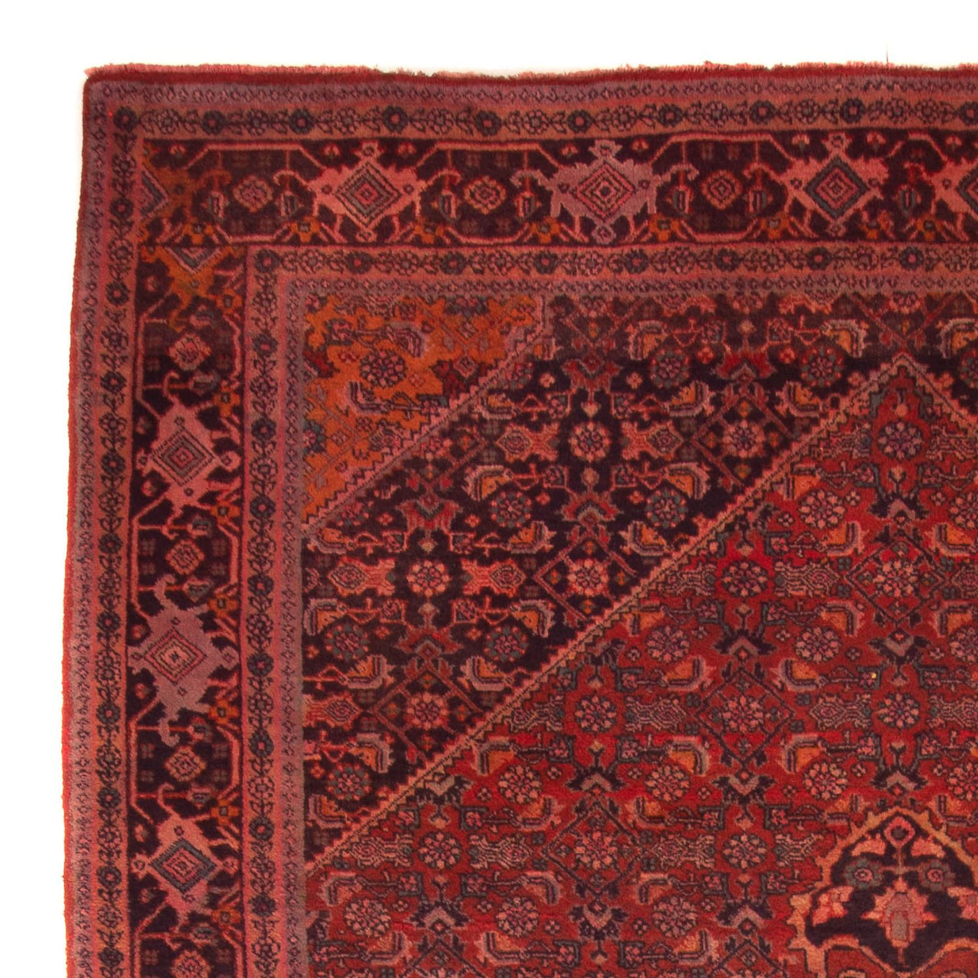 Bidjar - Takab Tapete 327x220cm - Tapete persa