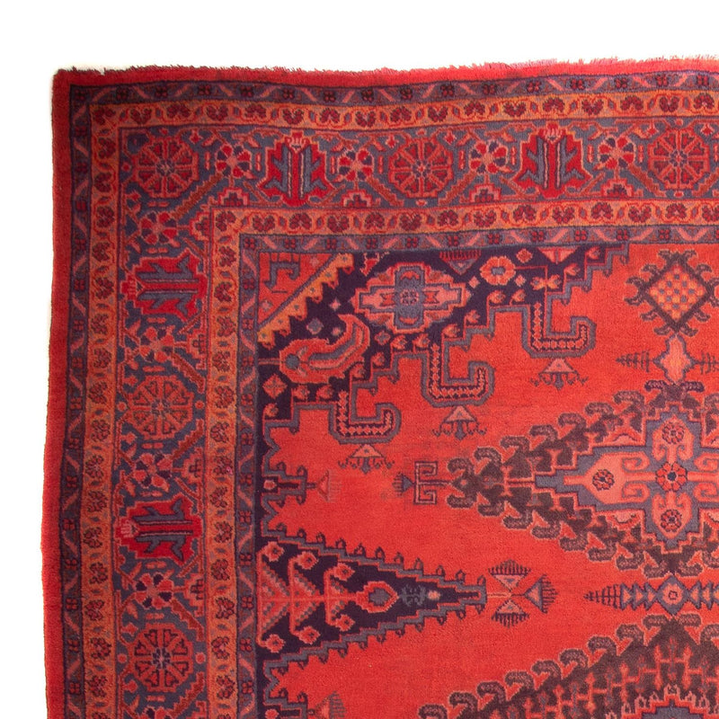 Wiss Tapete 335x225cm - Tapete persa