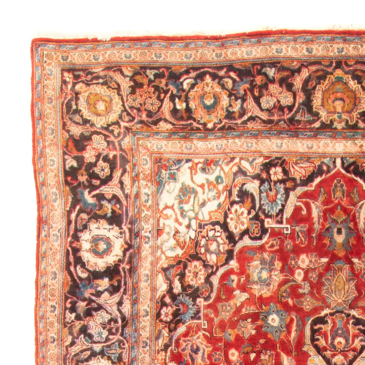 Kashan Tapete 322x183cm - Tapete persa