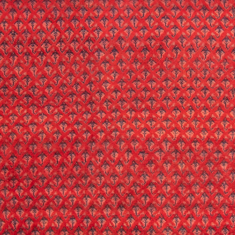 Mir Tapete 330x237cm - Tapete persa