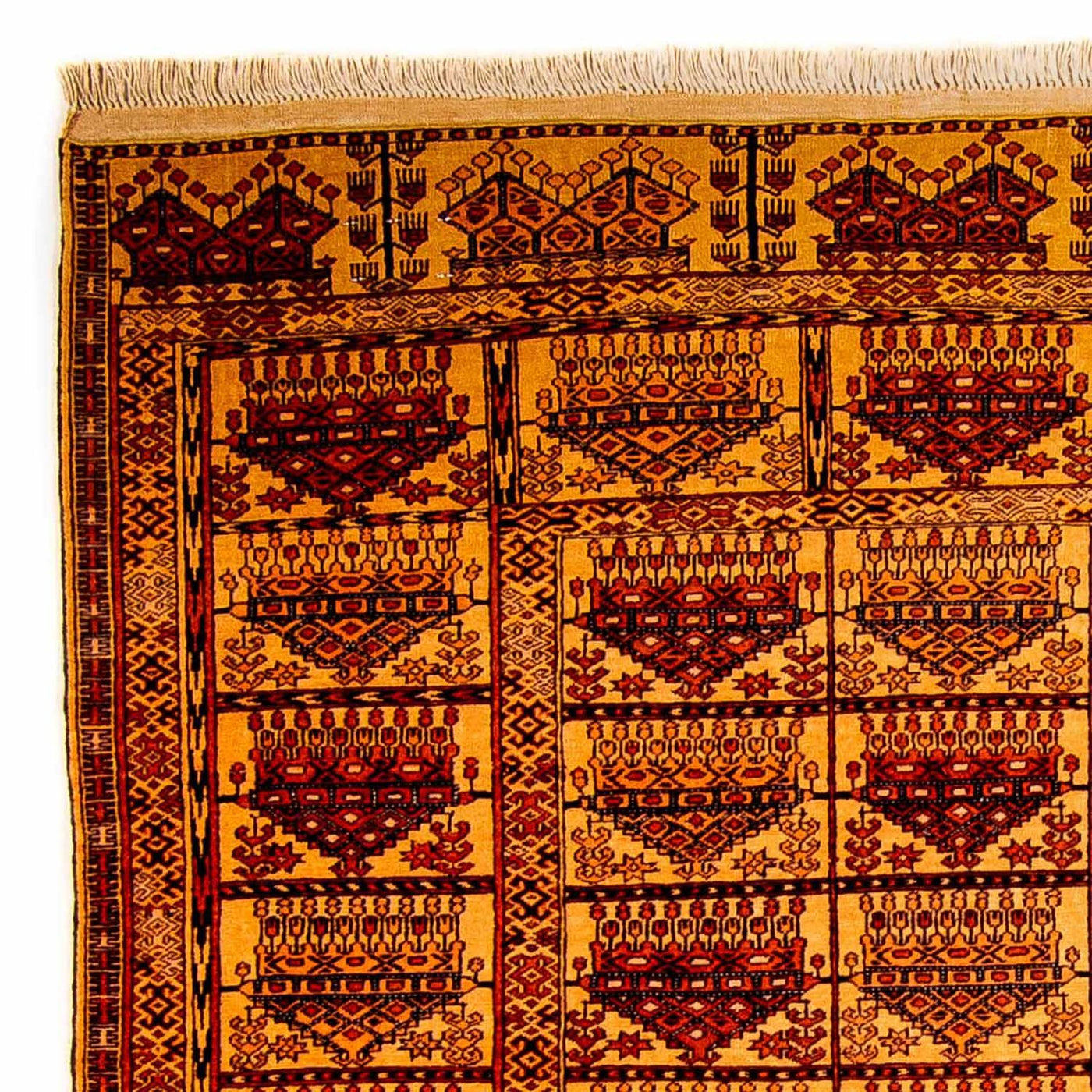 Afghan de seda Tapete 173x126cm - Tapete Oriental