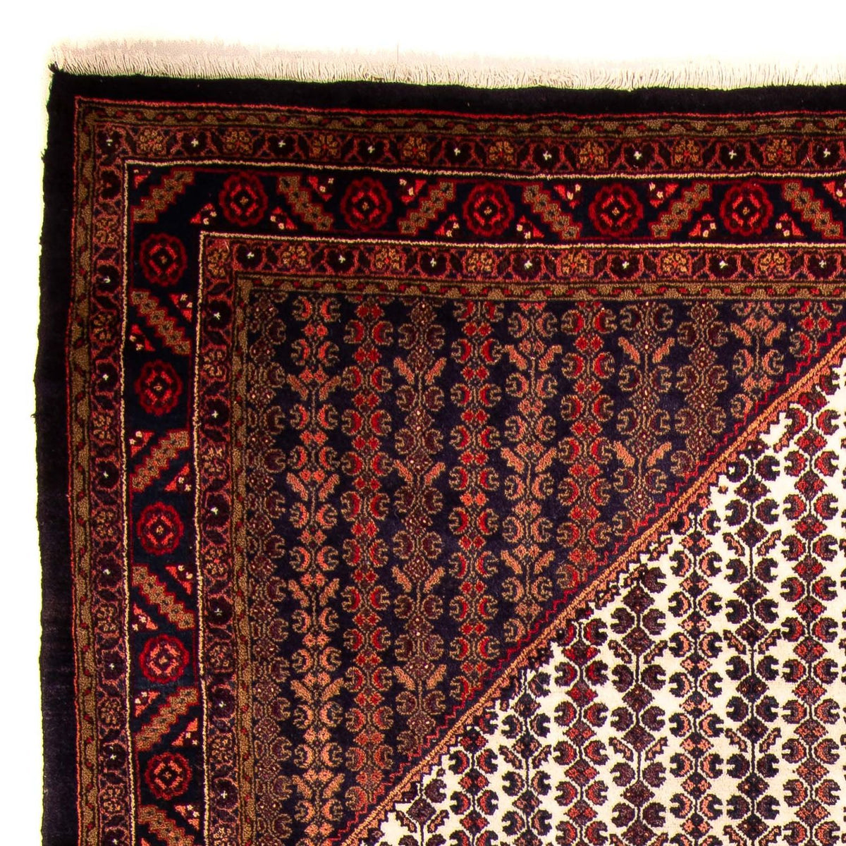 Kolyai Tapete 210x310cm - Tapete persa