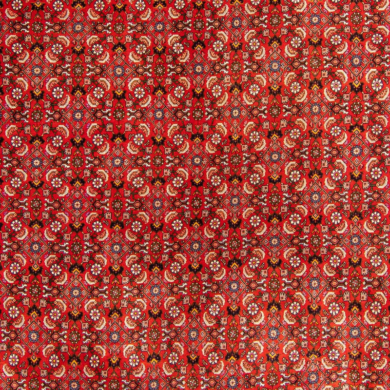 Bidjar Tapete 300x204cm - Tapete persa
