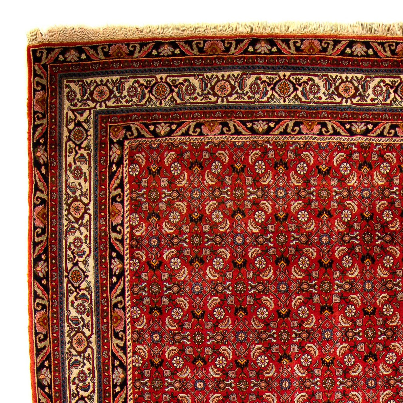 Bidjar Tapete 300x204cm - Tapete persa