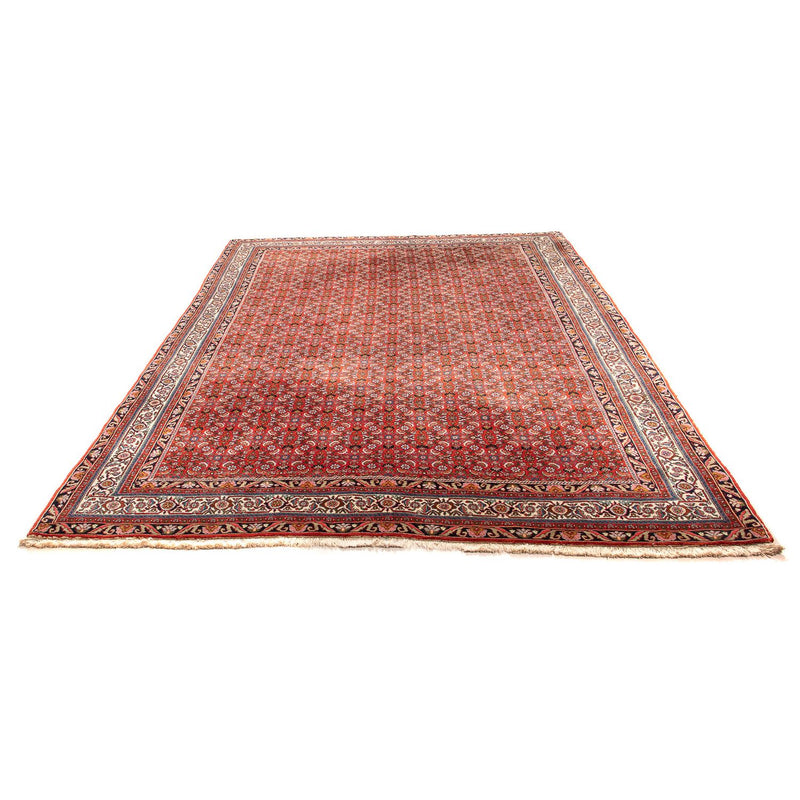 Bidjar Tapete 300x204cm - Tapete persa