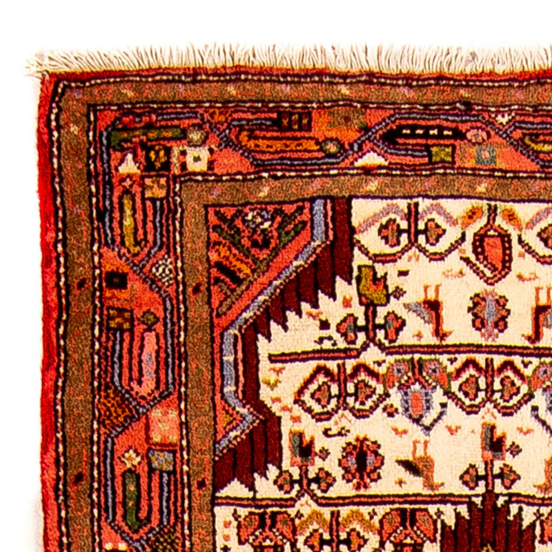 Ardabil Tapete 240x70cm - Tapete persa