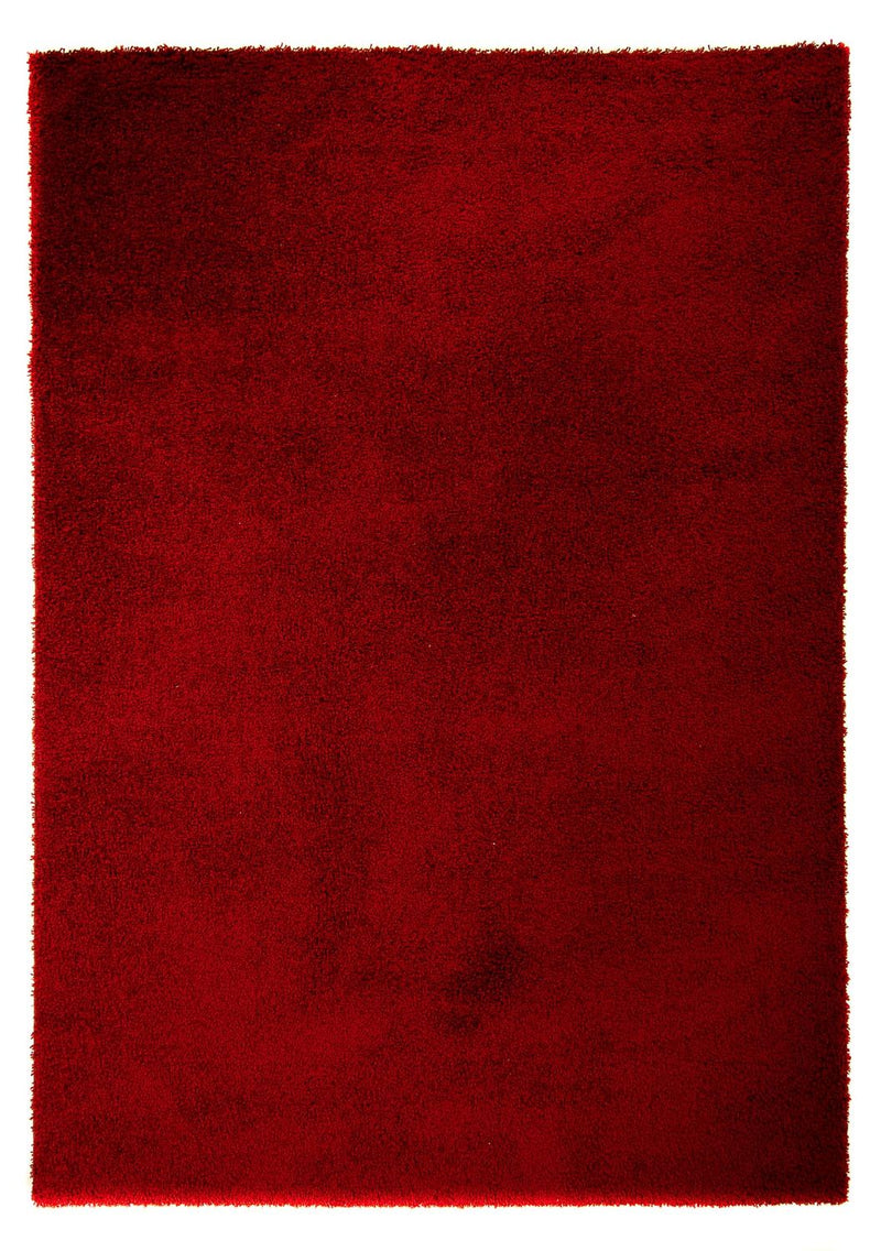 Shaggy Tapete 290x200cm - Shaggy Teppich