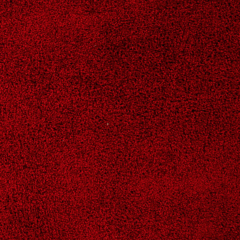 Shaggy Tapete 290x200cm - Shaggy Teppich