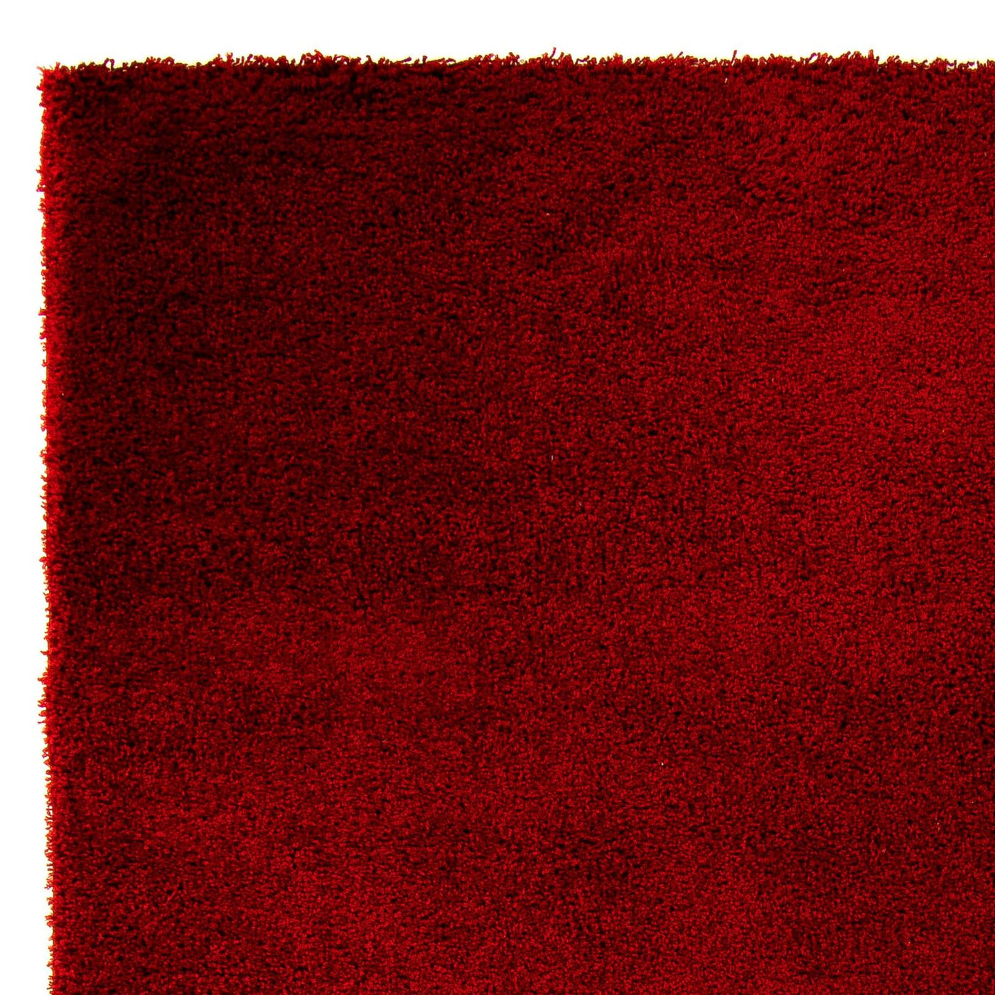 Shaggy Tapete 290x200cm - Shaggy Teppich