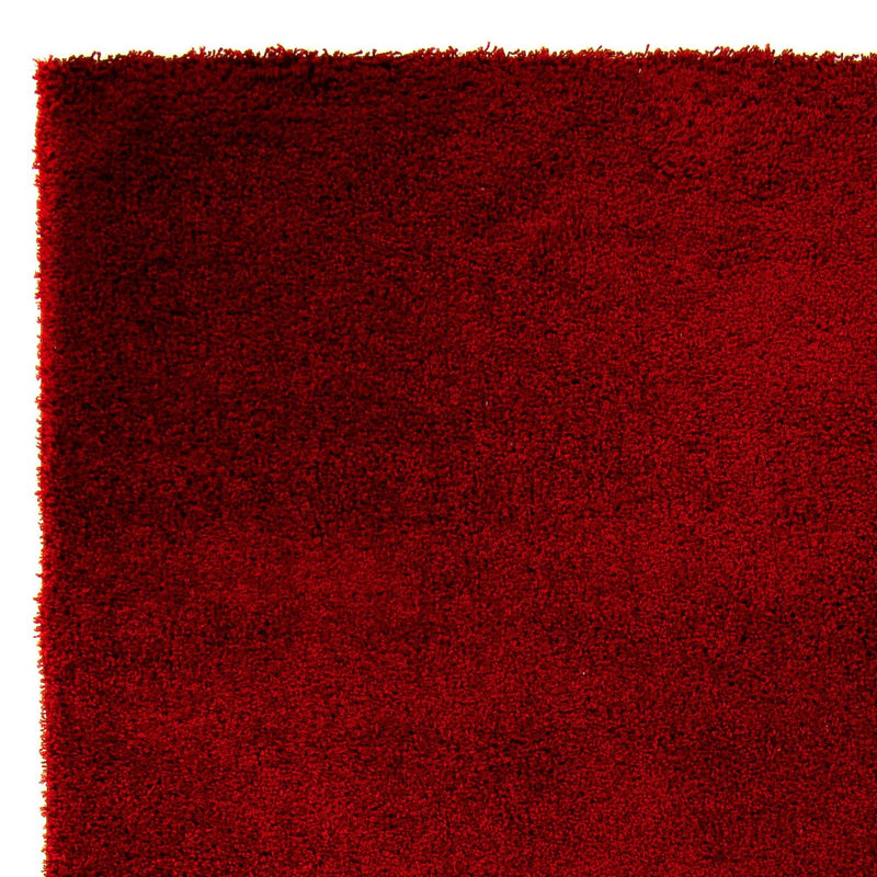 Shaggy Tapete 290x200cm - Shaggy Teppich