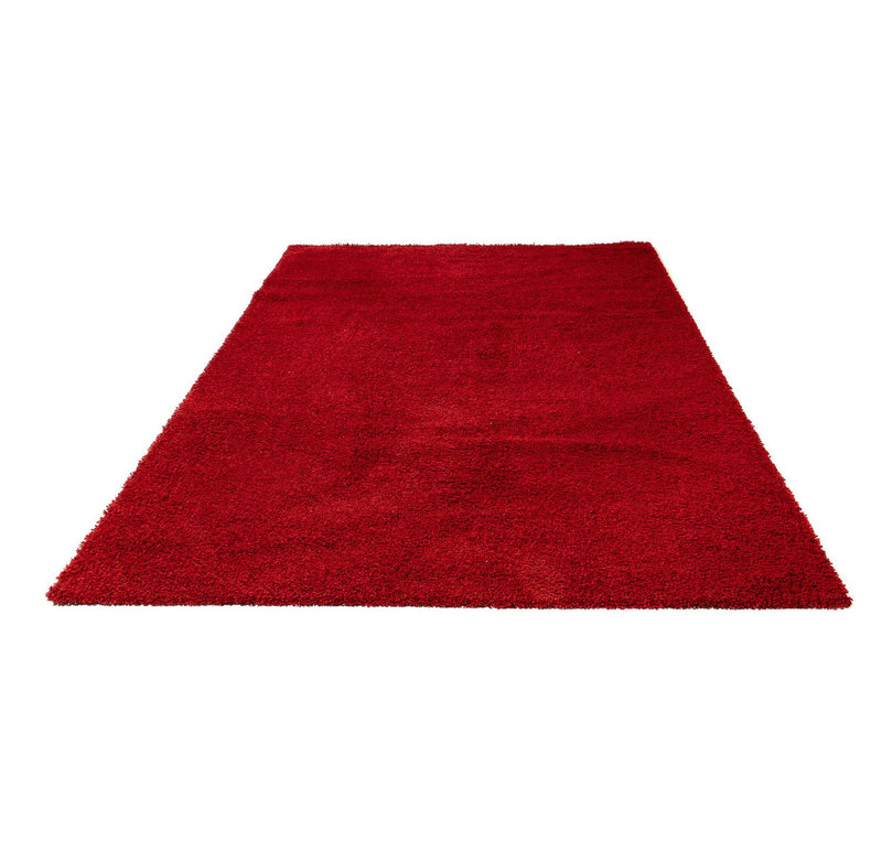 Shaggy Tapete 290x200cm - Shaggy Teppich
