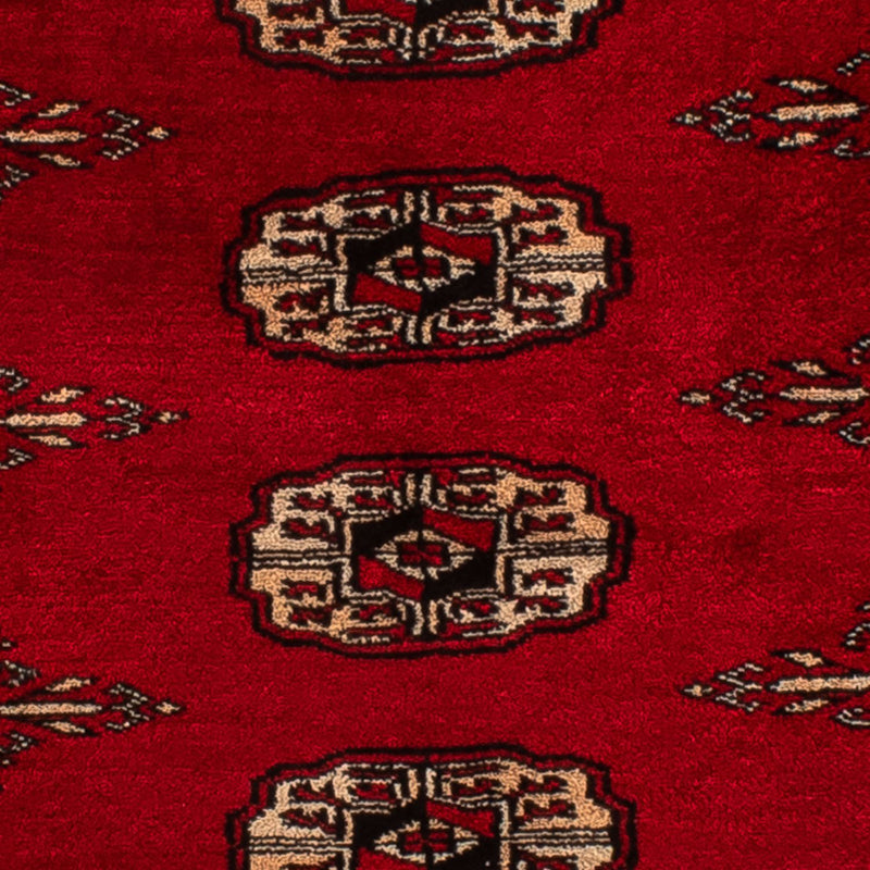 Tapete Paquistão 78x115cm - Tapete Oriental