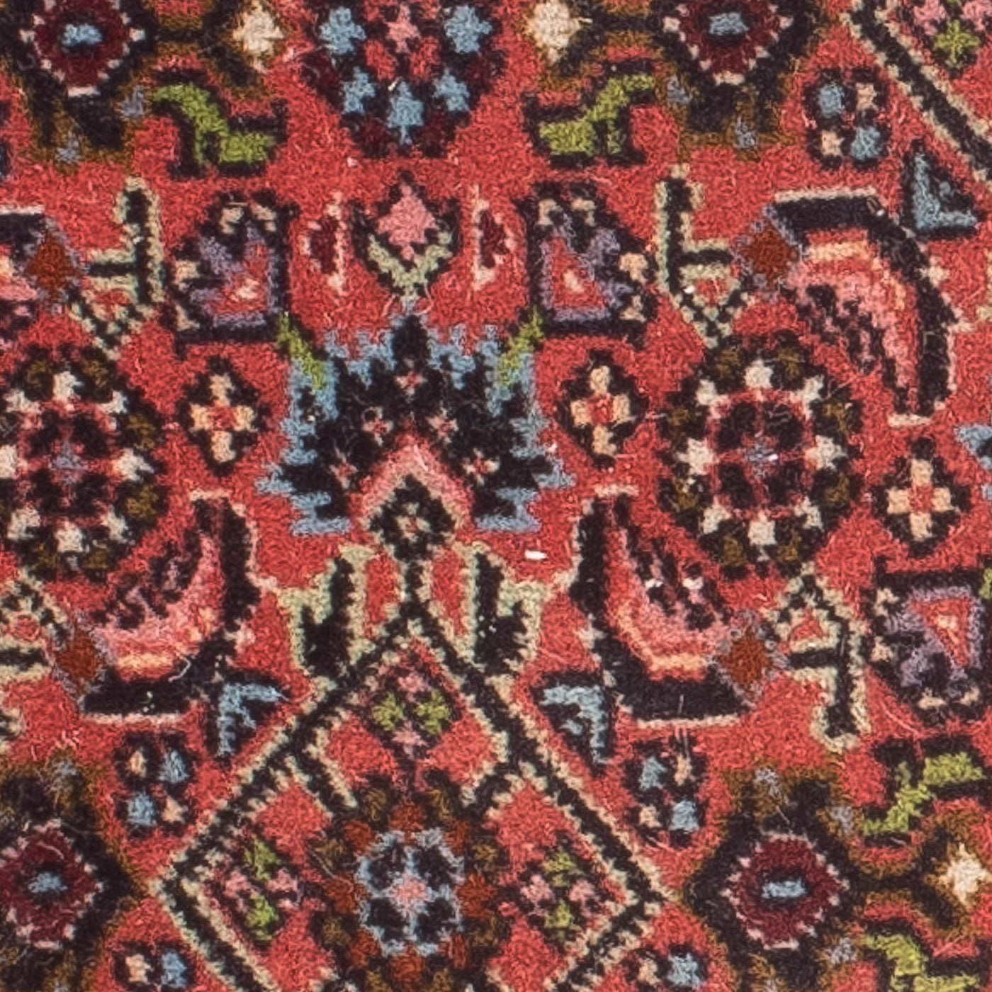 Bidjar Tapete 60x40cm - Tapete persa
