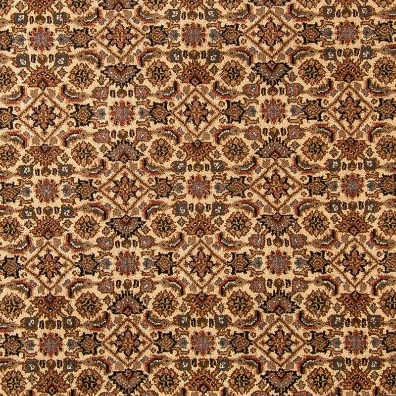 Bidjar Indo Tapete 250x309cm - Tapete Oriental