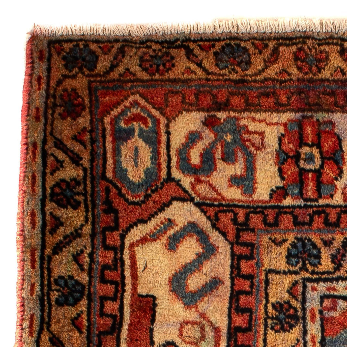 Tapete Persa - Nomadic - 120 x 88 cm - multicolorido