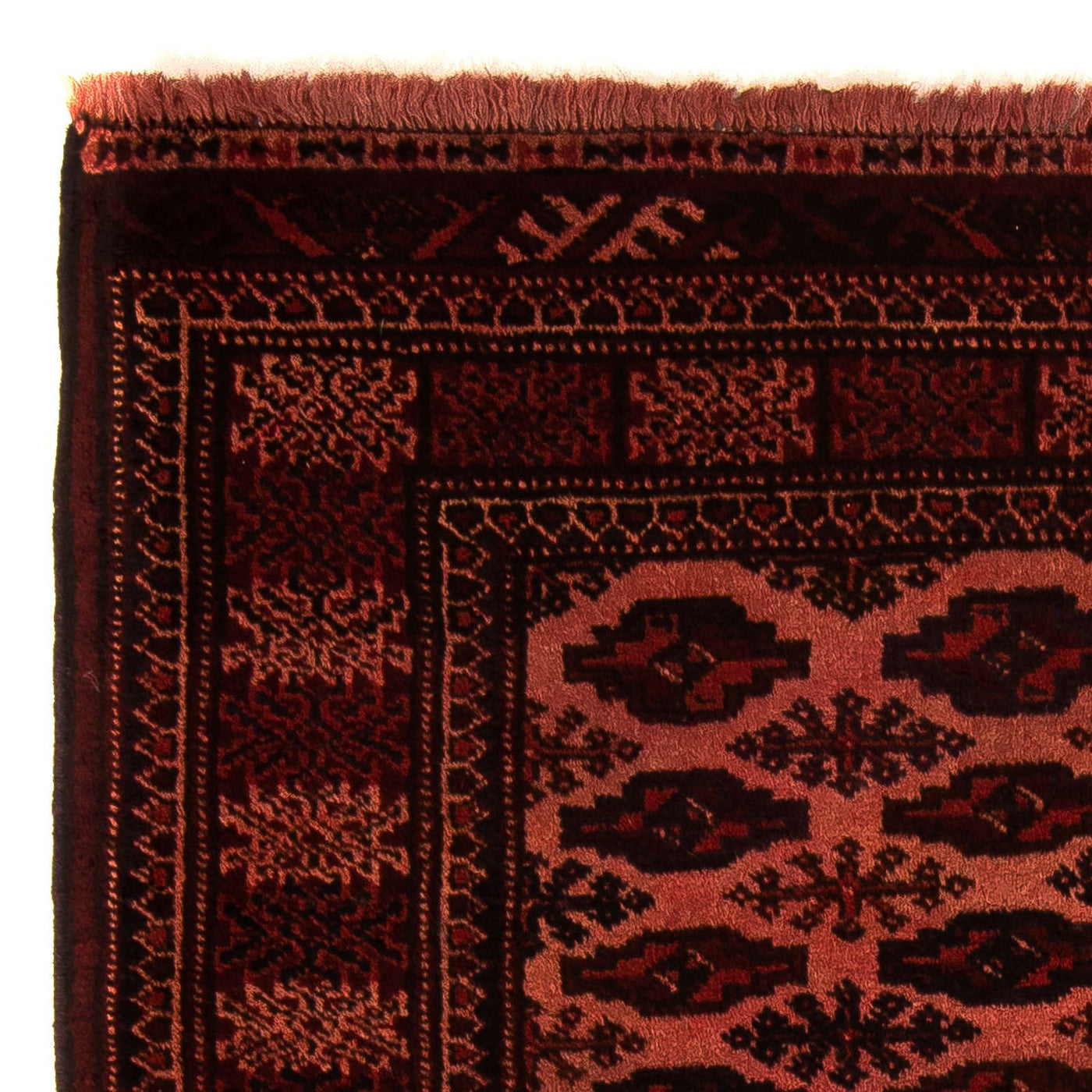 Bukhara Tapete 150x103cm - Tapete persa
