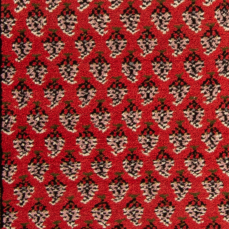 Mir Indo Tapete 160x90cm - Tapete Oriental