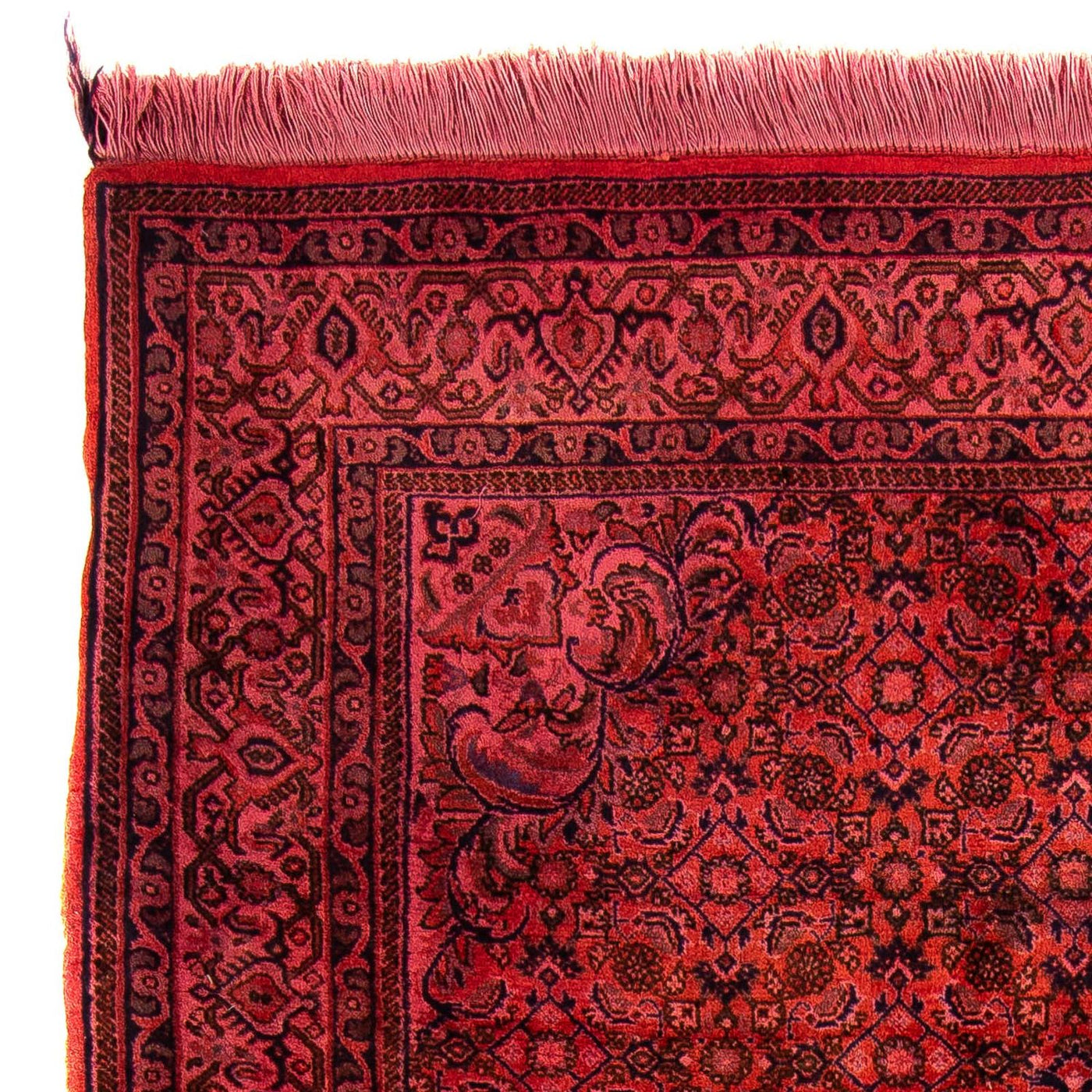 Bidjar Tapete 176x113cm - Tapete persa