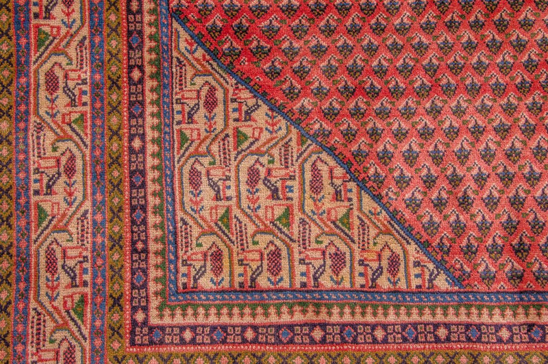 Mir Tapete 320x220cm - Tapete persa