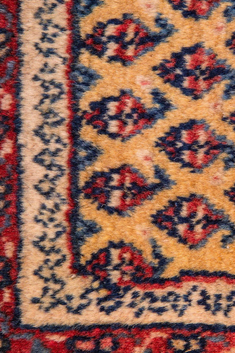 Kolyai Tapete 288x238cm - Tapete persa