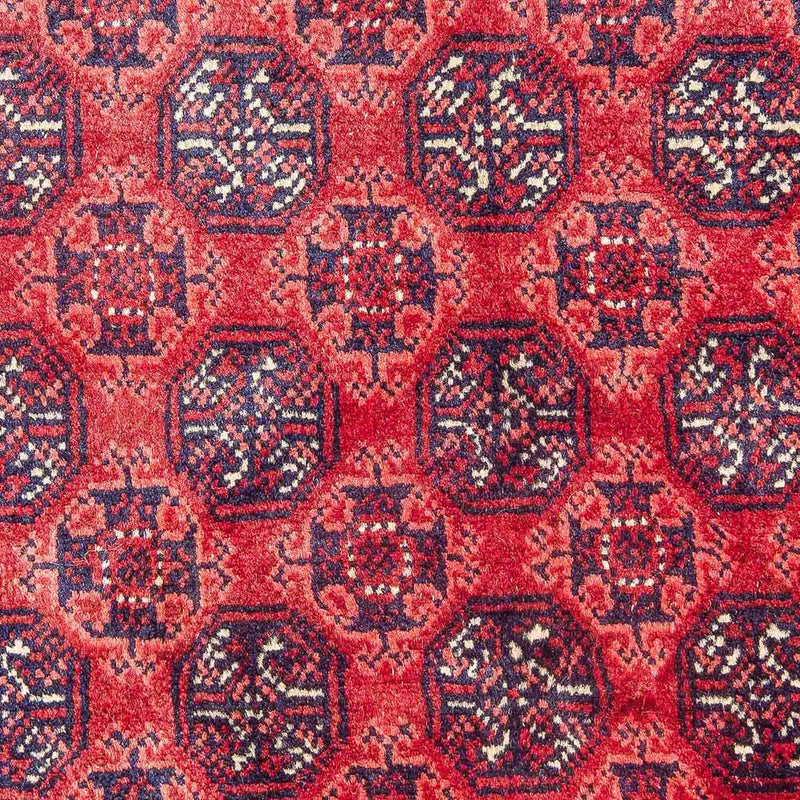 Bukhara Tapete 299x195cm - Tapete Oriental