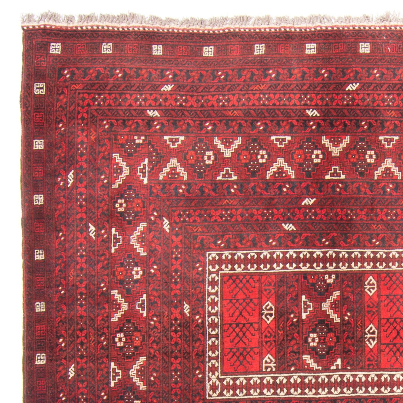 Tapete turquaman 236x162cm - Tapete persa