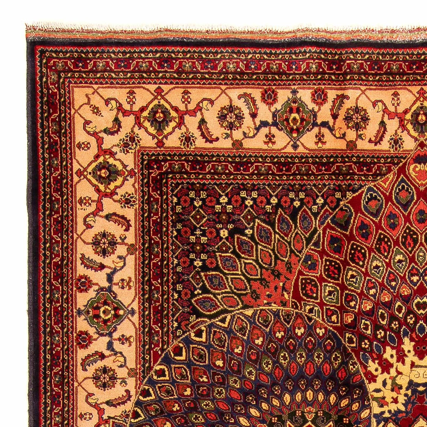 Tapete afegão - 279 x 198 cm - multicolorido