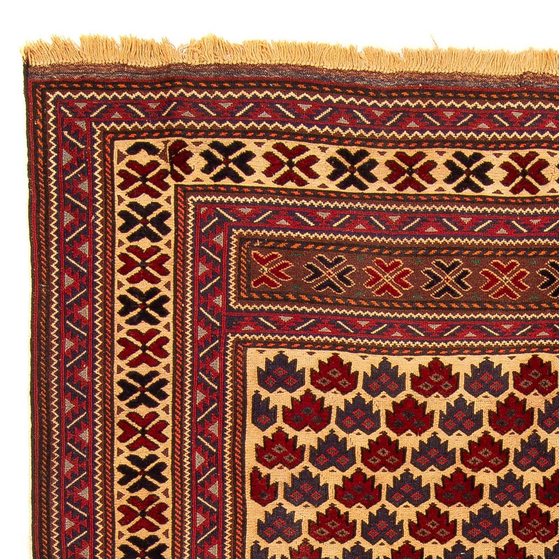 Kilim afegão Tapete 268x195cm