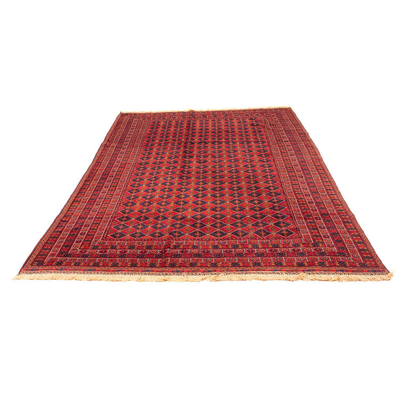 Kilim afegão Tapete 196x296cm
