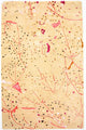 Tapete de desenhador 244x155cm - Designerteppich