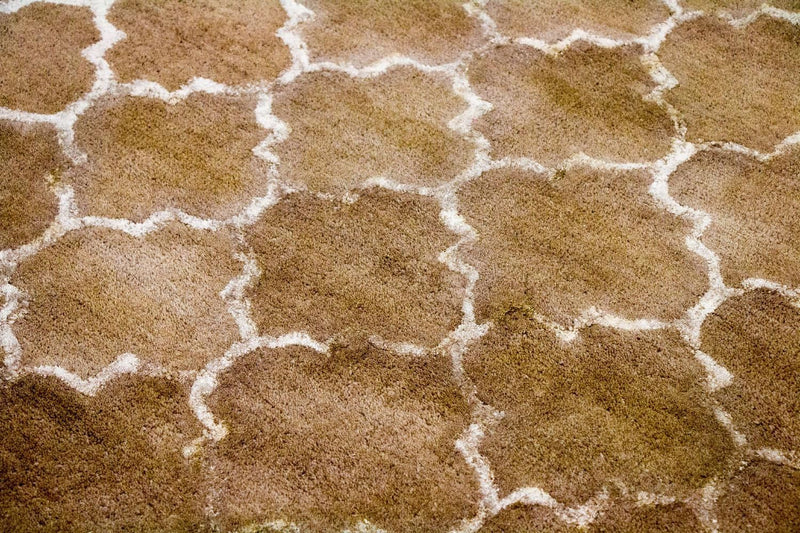 Tapete de desenhador 230x162cm - Designerteppich