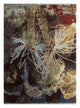 Tapete de lã 240x300cm - Tapete de lã