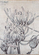 Tapete de desenhador 240x300cm - Designerteppich