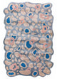 Tapete de desenhador 270x180cm - Designerteppich