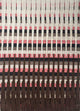Tapete de lã 240x150cm