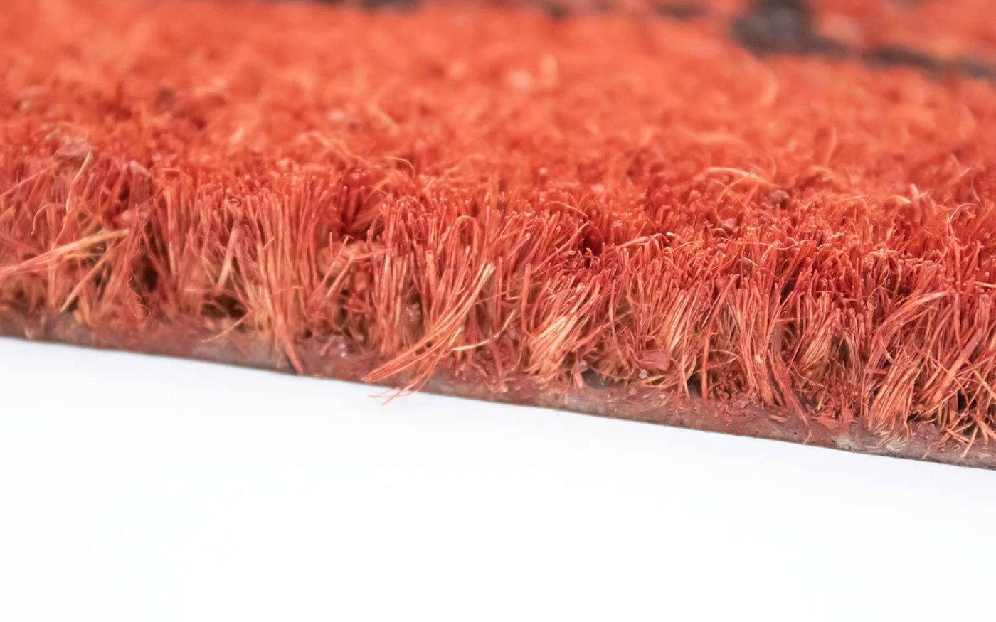 Fußmatte 60 x 40 cm Fußmatte