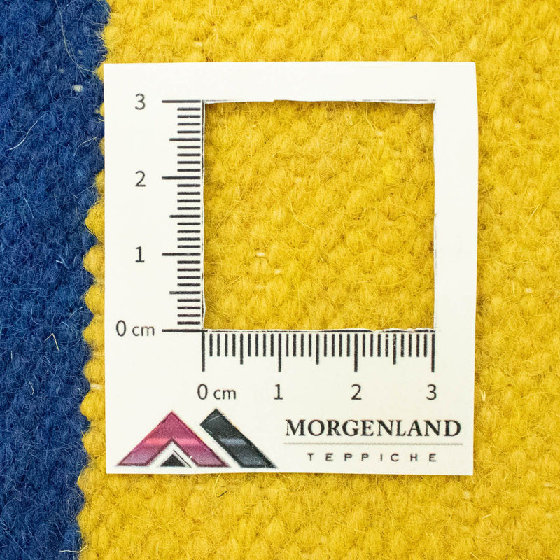 Kelim Modern Teppich 300x200cm