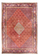 Bidjar Tapete 420x310cm - Tapete persa