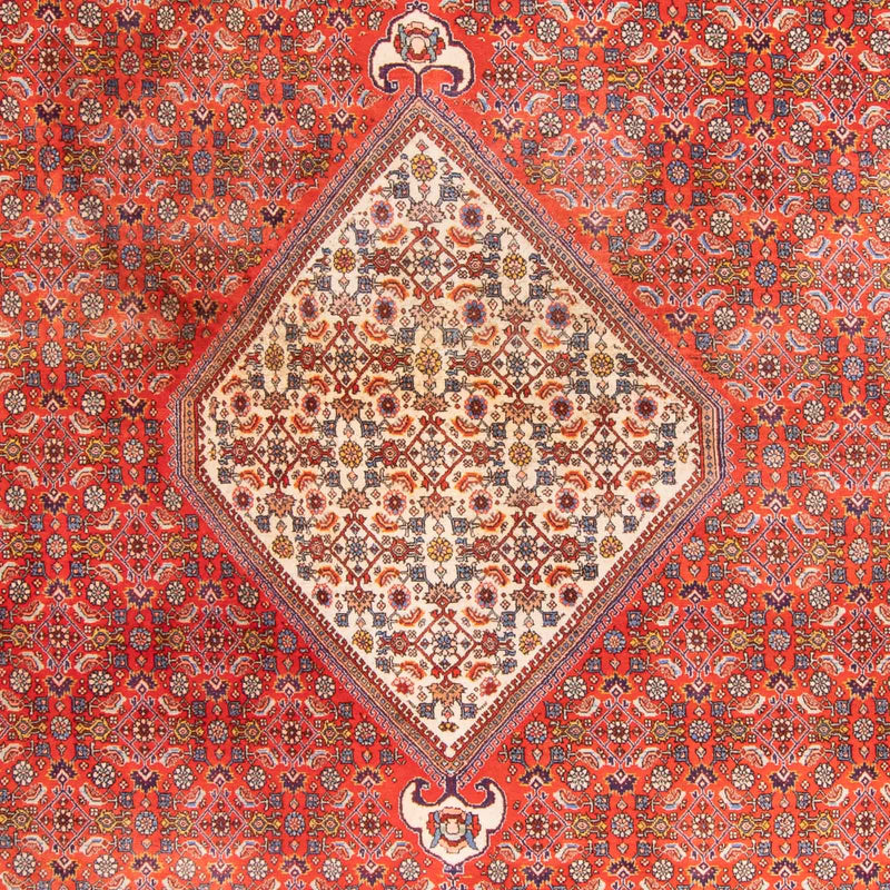 Bidjar Tapete 420x310cm - Tapete persa