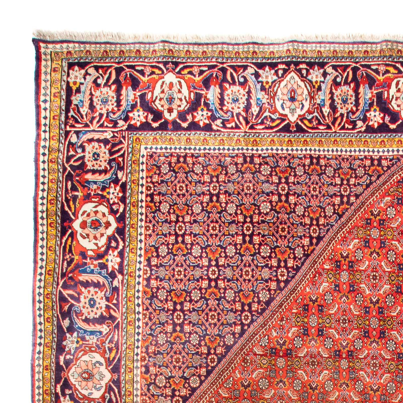 Bidjar Tapete 420x310cm - Tapete persa