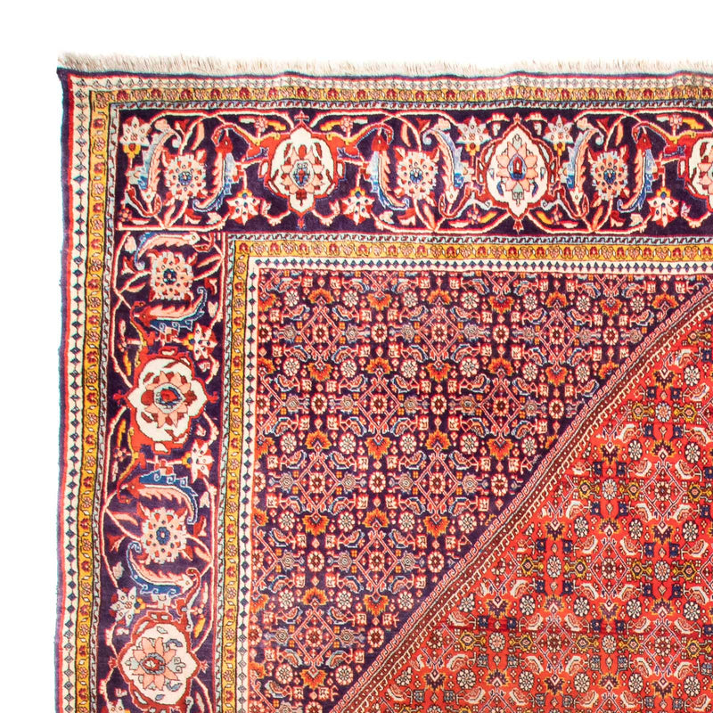 Bidjar Tapete 420x310cm - Tapete persa