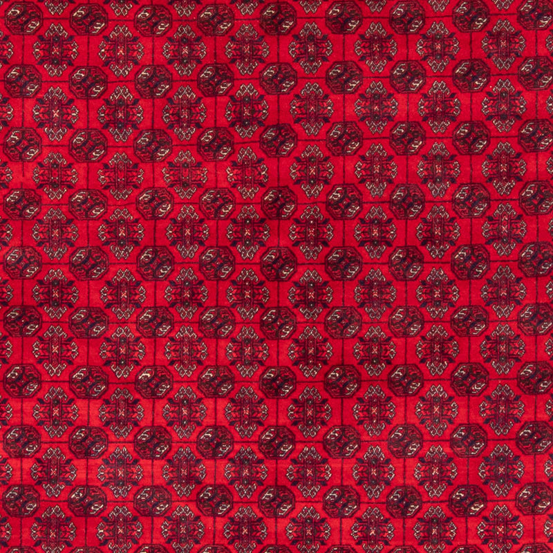Bukhara Tapete 290x196cm - Tapete Oriental