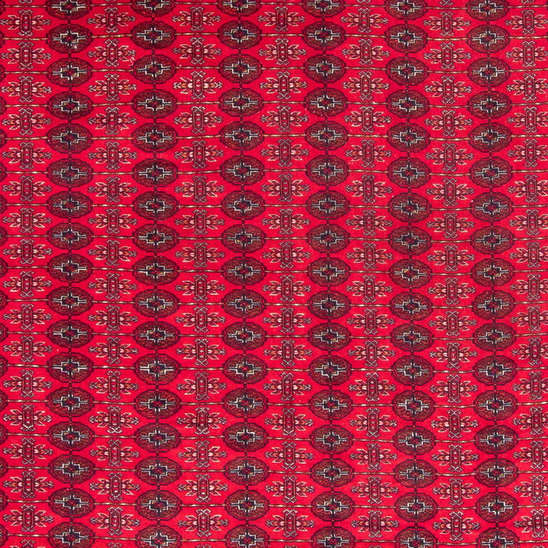 Bukhara Tapete 370x300cm - Tapete Oriental