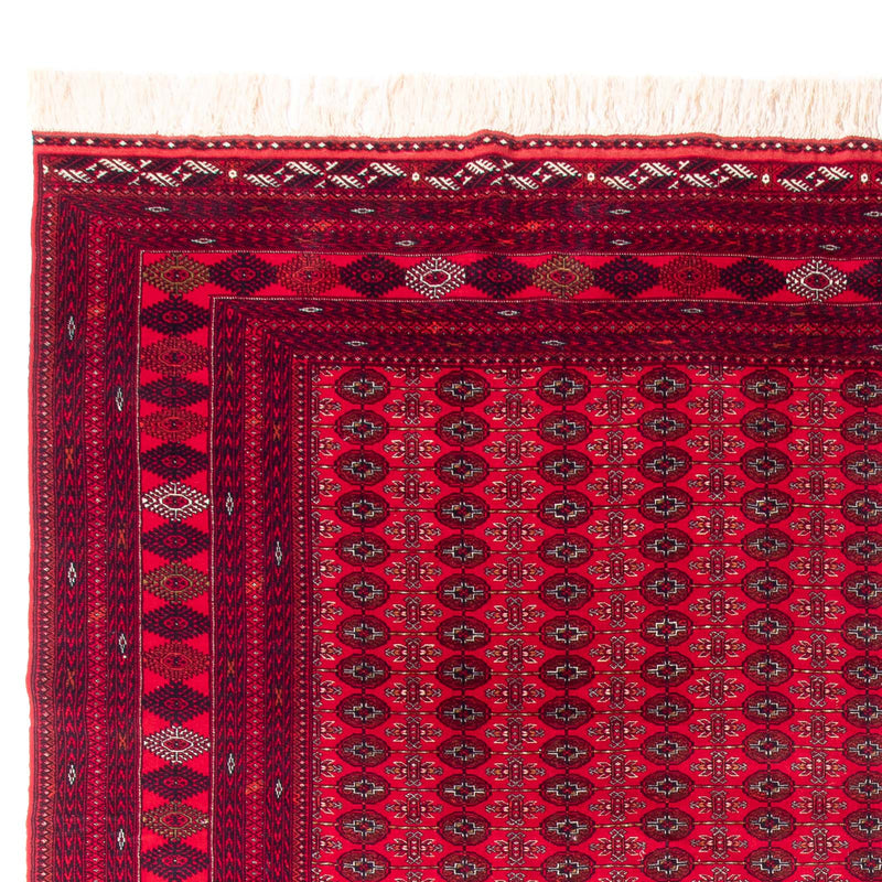Bukhara Tapete 370x300cm - Tapete Oriental