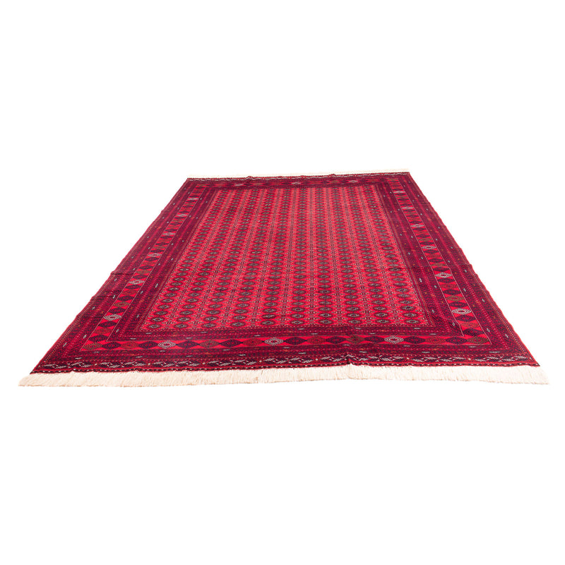 Bukhara Tapete 370x300cm - Tapete Oriental