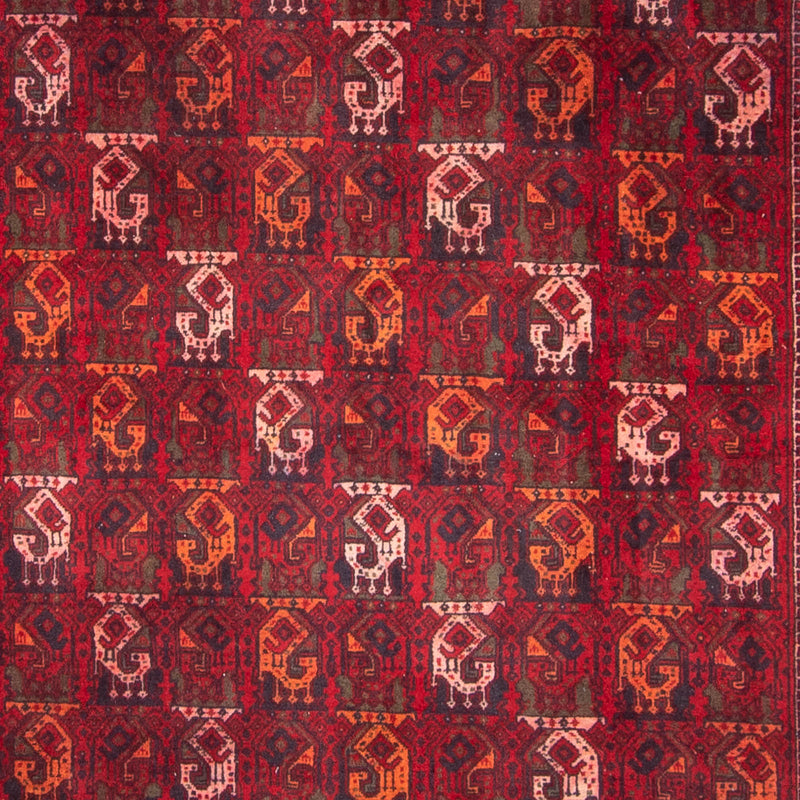 Tapete afegão 293x202cm - Tapete Oriental