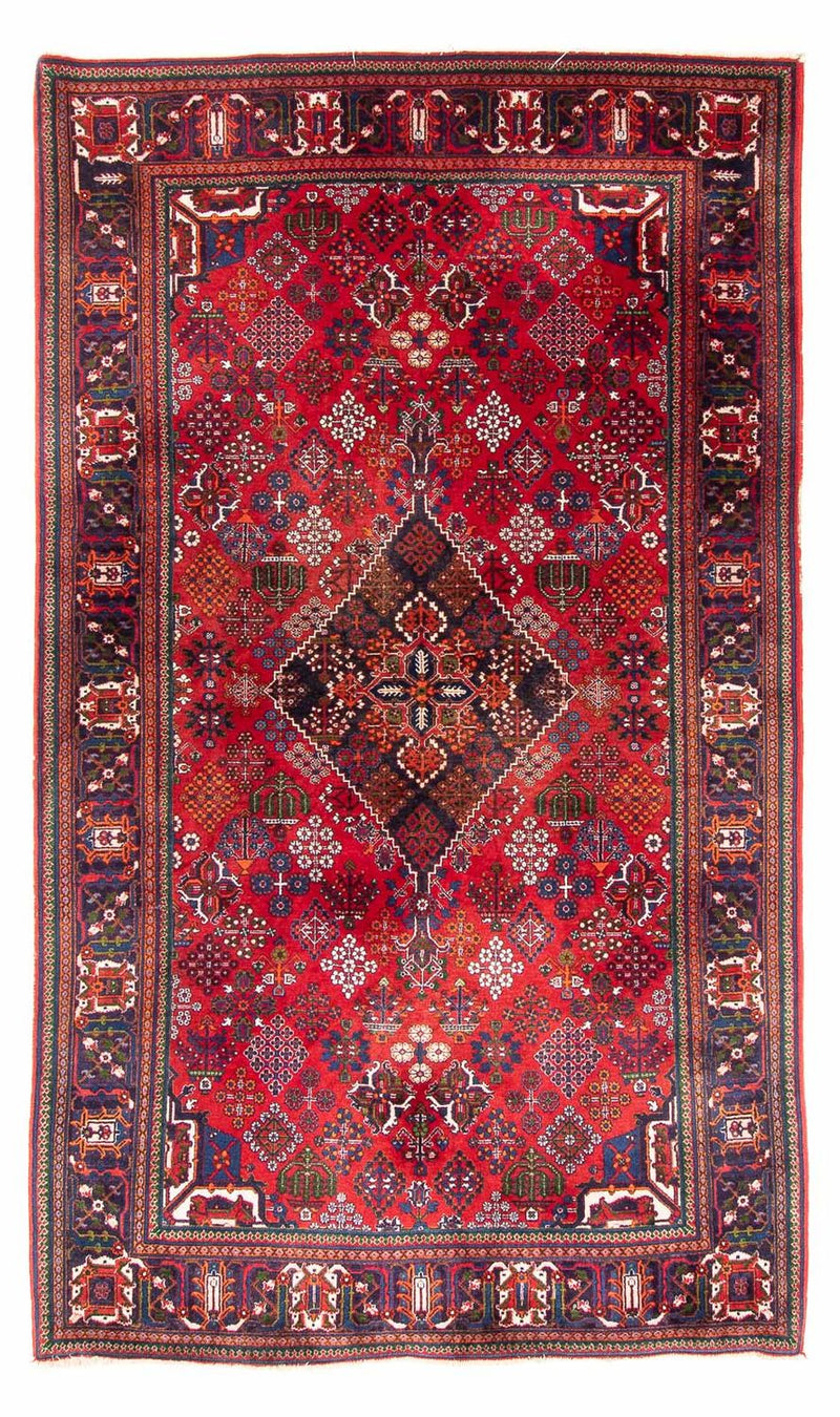 Shiraz Tapete 280x168cm - Tapete persa